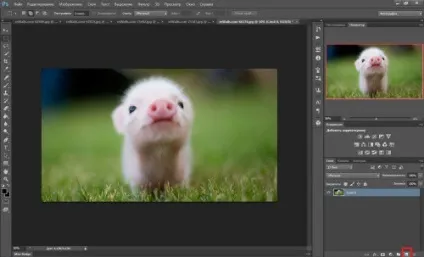 Створення колажів в фотошопі