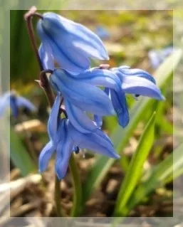 Вірші до 8 березня для малюків, в гостях у мері поппінс (вірші до 8 березня для дітей) Вірші до 8 березня для малюків, в гостях у мері поппінс