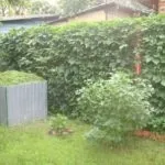 Будуємо оригінальні і незвичайні паркани своїми руками - фото і відео (руками) Будуємо оригінальні і незвичайні паркани своїми руками - фото і відео