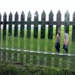 Будуємо оригінальні і незвичайні паркани своїми руками - фото і відео (оригінальні) Будуємо оригінальні і незвичайні паркани своїми руками - фото і відео