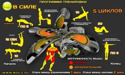 Стійка на руках на брусах в правильній техніці виконання (руках) Стійка на руках на брусах в правильній техніці виконання