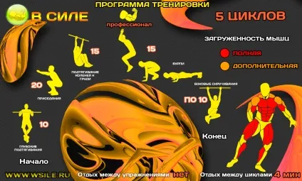 Стійка на руках на брусах в правильній техніці виконання (виконання) Стійка на руках на брусах в правильній техніці виконання