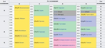 Властивості генетичного коду (коду) Властивості генетичного коду