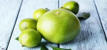 Світі користь і шкода склад калорійність як вибрати (шкода) Світі користь і шкода склад калорійність як вибрати