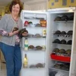 Тераріум яким повинен бути будинок для рептилії