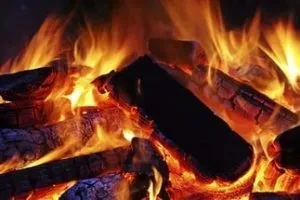 Температура горіння дерева - які дрова горять спекотніше інших (дерева) Температура горіння дерева - які дрова горять спекотніше інших