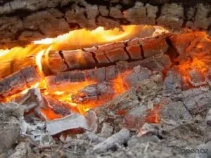 Температура горіння дерева - які дрова горять спекотніше інших (горіння) Температура горіння дерева - які дрова горять спекотніше інших
