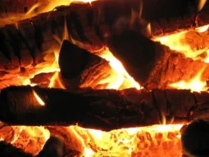 Температура горіння дерева - які дрова горять спекотніше інших (горіння) Температура горіння дерева - які дрова горять спекотніше інших