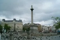 Трафальгарська площа в лондоні