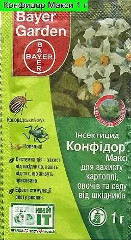 Попелиця на вишні як позбутися, як боротися, народні методи (народні) Попелиця на вишні як позбутися, як боротися, народні методи