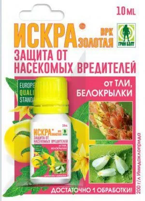 Попелиця на вишні як позбутися, як боротися, народні методи (народні) Попелиця на вишні як позбутися, як боротися, народні методи