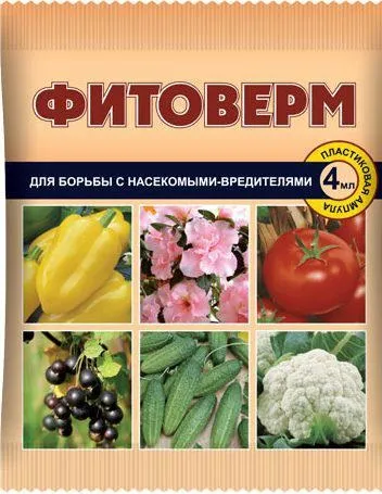 Попелиця на вишні як позбутися, як боротися, народні методи (дає непогані результати) Попелиця на вишні як позбутися, як боротися, народні методи