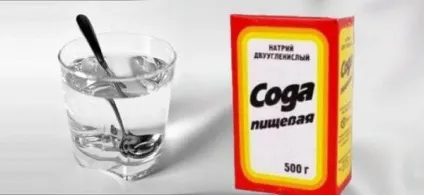 Попелиця на вишні як позбутися, як боротися, народні методи (вишні) Попелиця на вишні як позбутися, як боротися, народні методи