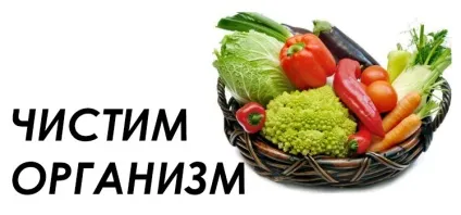 Топ продуктів, які чистять організм краще ліків (організм) Топ продуктів, які чистять організм краще ліків