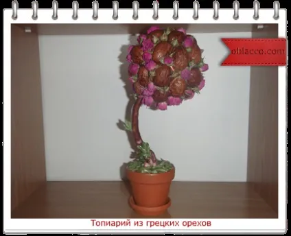 Топиарий з волоських горіхів