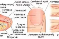 Тример для кутикули