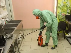 Цькування клопів в квартирі різними засобами (квартирі) Цькування клопів в квартирі різними засобами