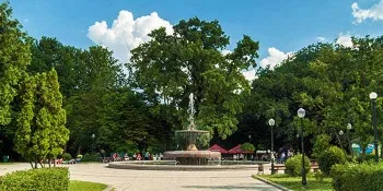 Туї в ландшафтному дизайні сорти з різною формою, як створити з туї живопліт (сорти) Туї в ландшафтному дизайні сорти з різною формою, як створити з туї живопліт