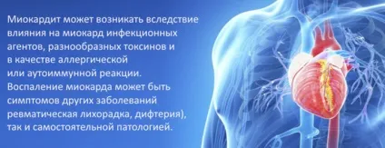 Трикуспідального клапан серця - що це таке (звуження площа отвору) Трикуспідального клапан серця - що це таке