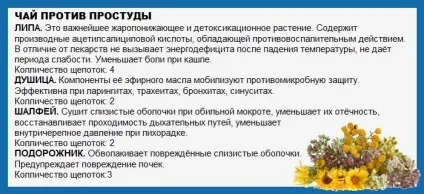 Трави від застуди - лікування застуди (наполягати) Трави від застуди - лікування застуди