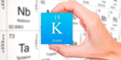 Трикуспідального клапан серця - що це таке (звуження площа отвору) Трикуспідального клапан серця - що це таке