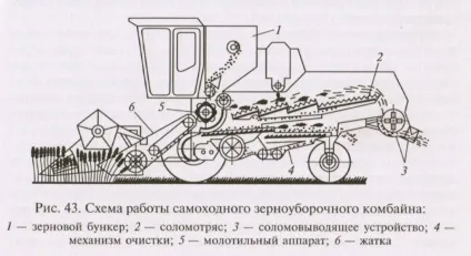 Збирання зернових культур, прибирання зерна (культур) Збирання зернових культур, прибирання зерна