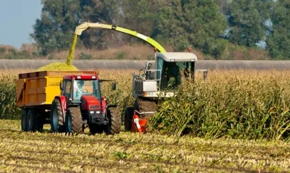 Збирання кукурудзи на зерно, силос, в качанах - як зберігати зібраний урожай відео