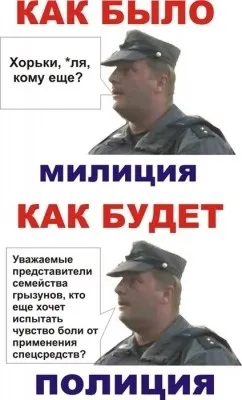 Як навести порядок в країні, щоденник оптиміста (навести порядок країні) Як навести порядок в країні, щоденник оптиміста