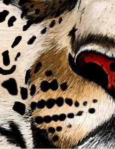 Урок photoshop малюємо витонченого хижака, graceful predator - трохи про все