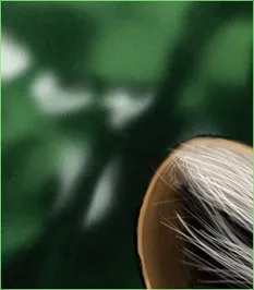 Урок photoshop малюємо витонченого хижака, graceful predator - трохи про все