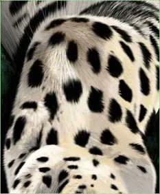 Урок photoshop малюємо витонченого хижака, graceful predator - трохи про все