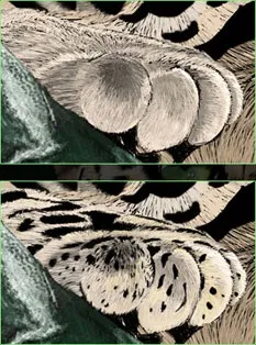 Урок photoshop малюємо витонченого хижака, graceful predator - трохи про все