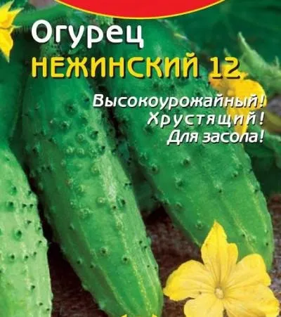 Врожайні сорти огірків для відкритого грунту самозапильних (відкритого) Врожайні сорти огірків для відкритого грунту самозапильних