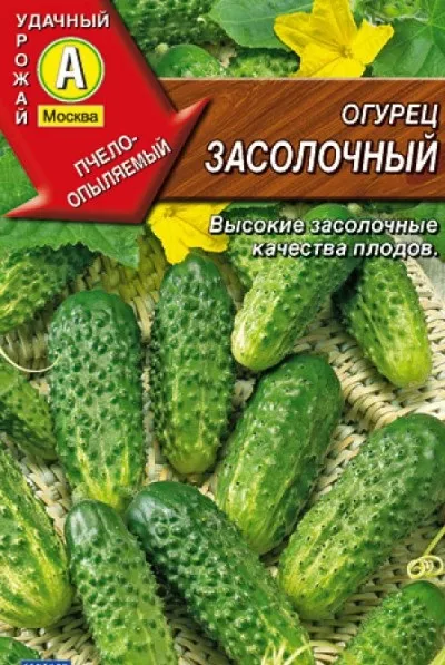 Врожайні сорти огірків для відкритого грунту самозапильних (сорти) Врожайні сорти огірків для відкритого грунту самозапильних