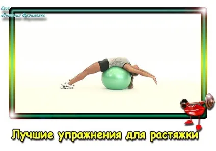 Вправи для розтяжки - відібрані найкращі - журнал любові і бодібілдингу (м'язи Виконання вправи) Вправи для розтяжки - відібрані найкращі - журнал любові і бодібілдингу