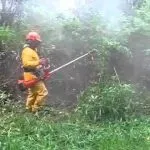Пристрій триммера, принцип роботи, технічні