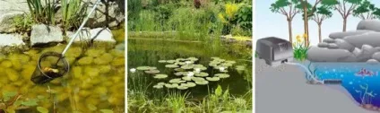 Догляд за ставком - обслуговування штучної водойми (водоймища) Догляд за ставком - обслуговування штучної водойми