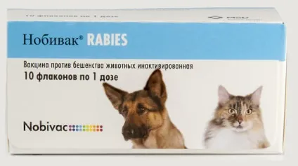 вакцинація собак
