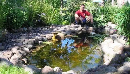 Догляд декоративним ставком на ділянці як доглядати за штучним ставком на дачі (догляд) Догляд декоративним ставком на ділянці як доглядати за штучним ставком на дачі