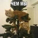 У цей період краще всього постійно думати про те, як би не наробити дурниць (думати) У цей період краще всього постійно думати про те, як би не наробити дурниць