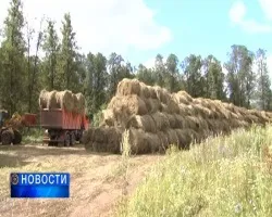 У буздякском районі після невдалого стрибка школяр впав зі сходів і впав в кому (школяр) У буздякском районі після невдалого стрибка школяр впав зі сходів і впав в кому