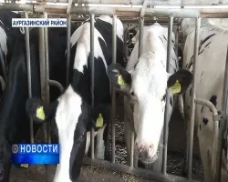 У буздякском районі після невдалого стрибка школяр впав зі сходів і впав в кому (новини Башкортостану) У буздякском районі після невдалого стрибка школяр впав зі сходів і впав в кому