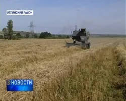У буздякском районі після невдалого стрибка школяр впав зі сходів і впав в кому (новини Уфи) У буздякском районі після невдалого стрибка школяр впав зі сходів і впав в кому