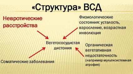 Вегето-судинна дистонія симптоми і лікування у підлітків 1 (вегето-судинна дистонія у підлітків) Вегето-судинна дистонія симптоми і лікування у підлітків 1