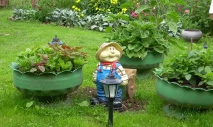 Вазони для саду своїми руками гумові чаші (відео) (вазони) Вазони для саду своїми руками гумові чаші (відео)