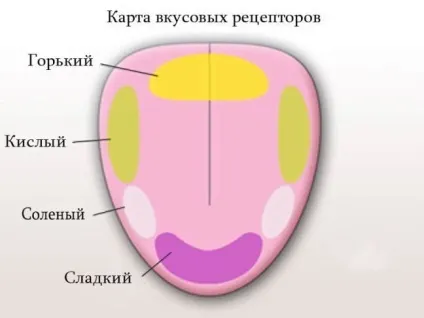 У ці міфи ми до сих пір віримо