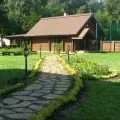 Вибір декоративних дерев для посадки на вашій ділянці (вибір) Вибір декоративних дерев для посадки на вашій ділянці