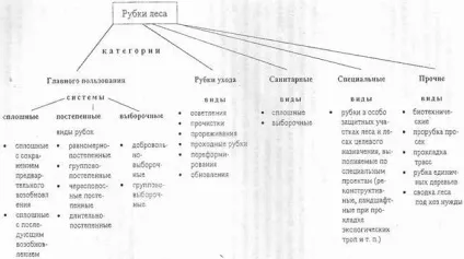 Вибіркові рубки - студопедія