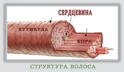 випадає волосся