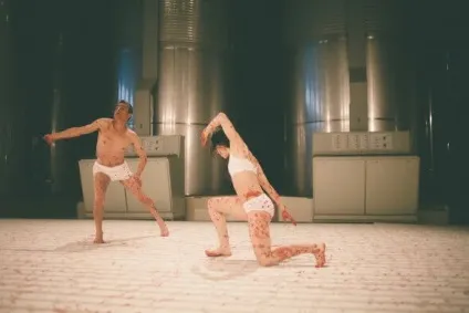 Вино як мистецтво, what the pack